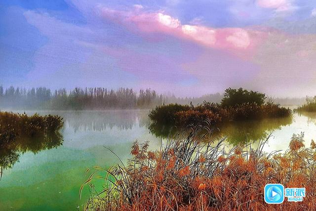 在潍坊汶河岸边，来一场最美的遇见！