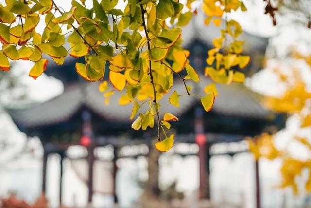 锦江故事 | 成都最早！唐代TA就是“网红地标”