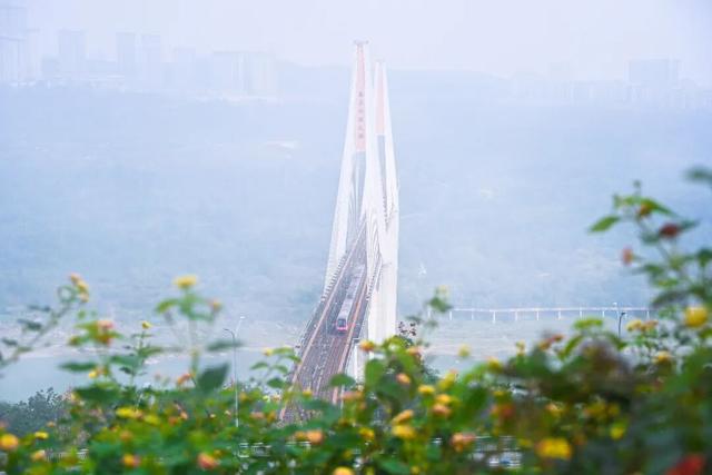 仙气飘飘的重庆🥳，美成屏保，来晒图～