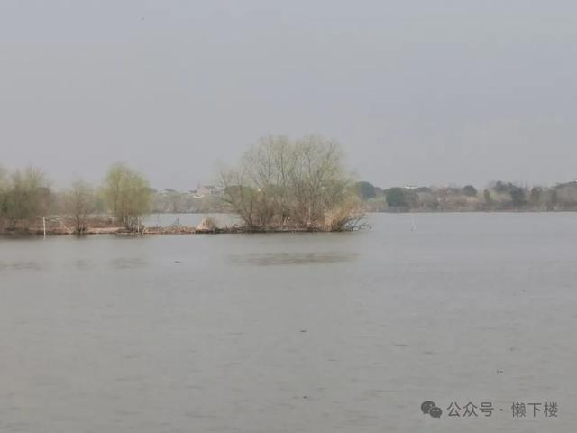 湖州东南第一镇 | 禹越