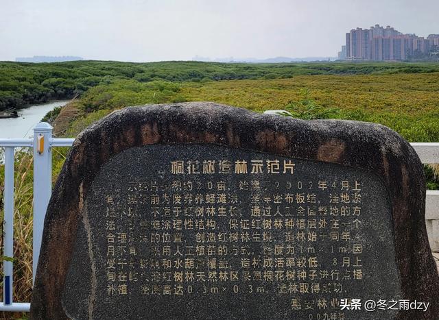 悠游泉州⑦:海内第一桥——洛阳桥（2025.2.8）