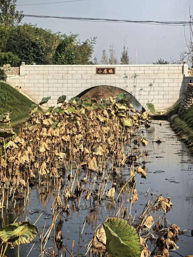 康台印象：藏在豫西南的“老家”