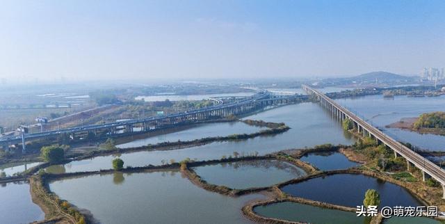 晨光轻抚江面，武汉苏醒时，我被这暖冬诗意震撼了