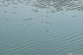 做好5点，你的浮漂会“灵敏”很多！个个都是销魂大顿口图片