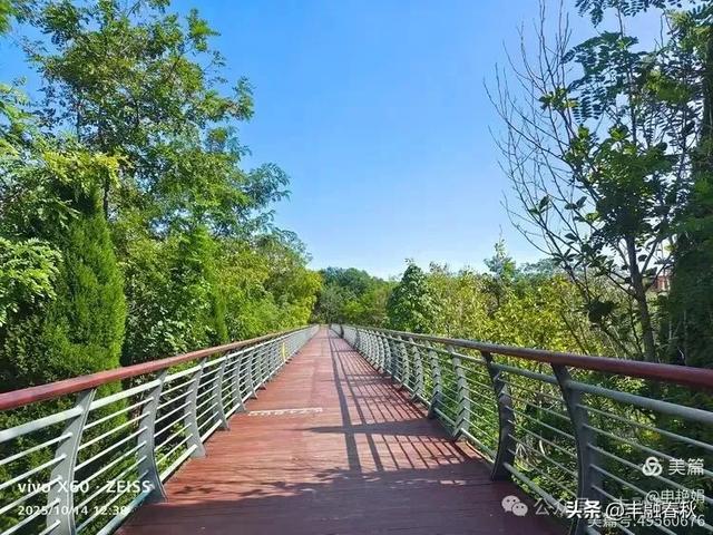 浮山漫记:藏在青岛城央的自然诗篇|申艳娟