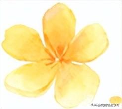 官鹅沟之秋：一场色彩与诗意的狂欢