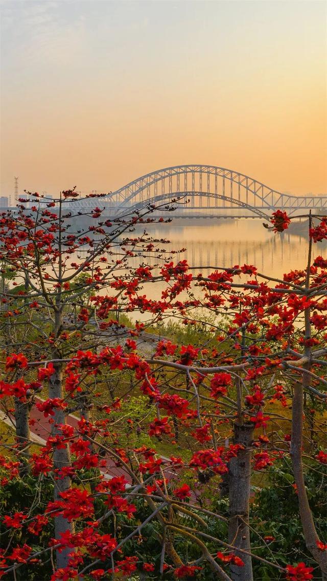 避寒旅居首选！这9座城均温20℃起，人少便宜，好吃好玩，推荐！