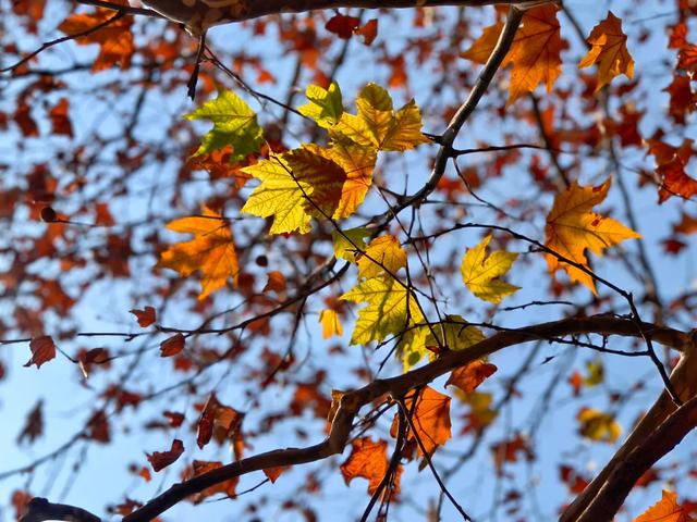 醴陵冬日限时暖阳已上线，公主王子请享用
