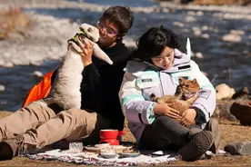 带猫游中国！“铲屎官”夫妇两年自驾7万公里图片