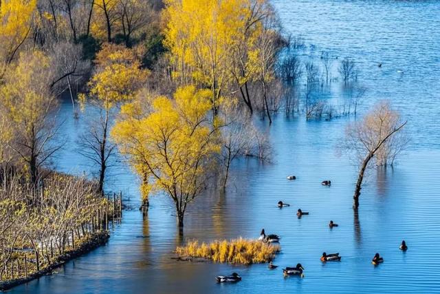 燕谷犹在，秋意正浓：李白诗里的舞彩浅山什么样？