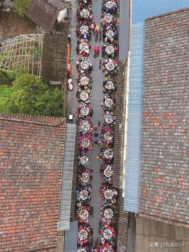 柚香润古城 漫卷文旅风——三江侗族自治县丹洲镇柚子文化活动见闻