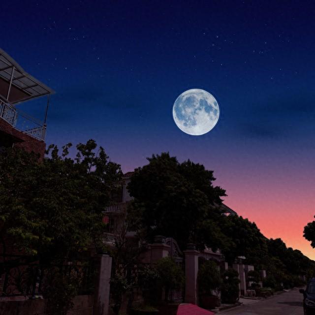 中秋月下照无眠