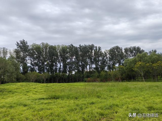 自拍影集（40）减河公园：藏于时光间的静谧之美