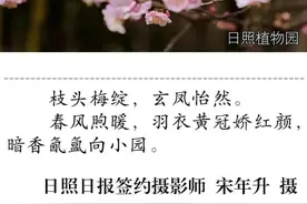 经山历海·美图日照丨抓住春天的尾巴，赴一场春日之约！图片