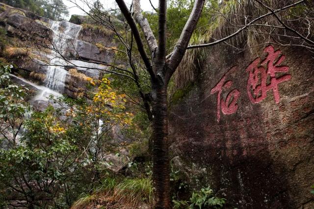 黄山景观故事：外来之客