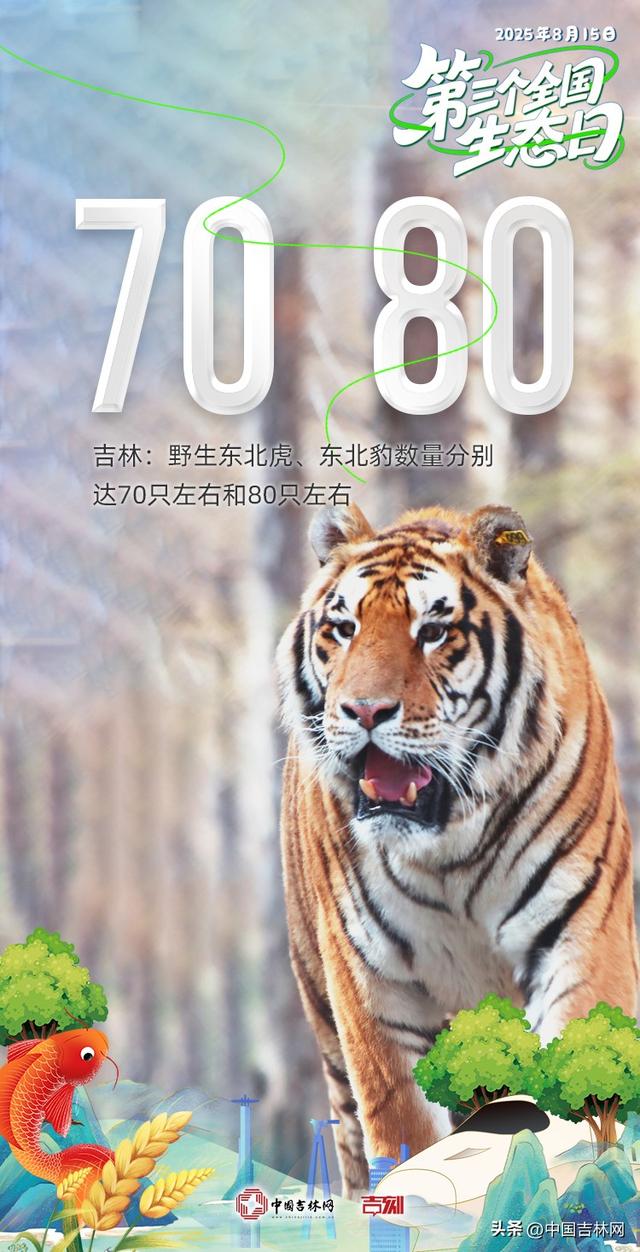 海报全国生态日丨大美吉林，尽显生态美