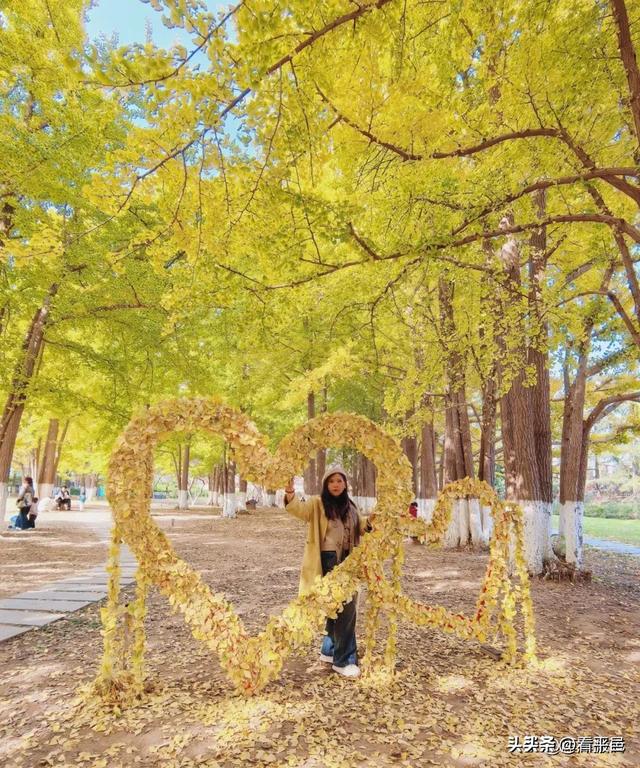 【E口同声】从临沂“秋叶缓扫”看齐鲁文化的当代温情表达