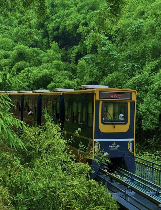 邛崃秋假放大招！这些景区免门票啦，亲子错峰游直接冲