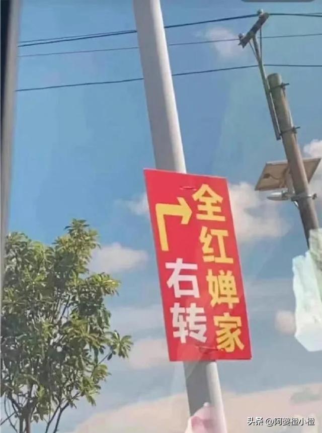 全红婵爸妈也没想到，别墅刚封顶，一家人就走上了大衣哥的老路