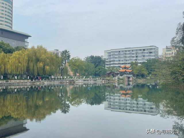 南充行：从枯黄到碧绿的十二小时