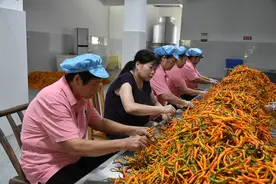 株洲“奶奶工厂”走红， 村里老人的增收路子火辣辣图片