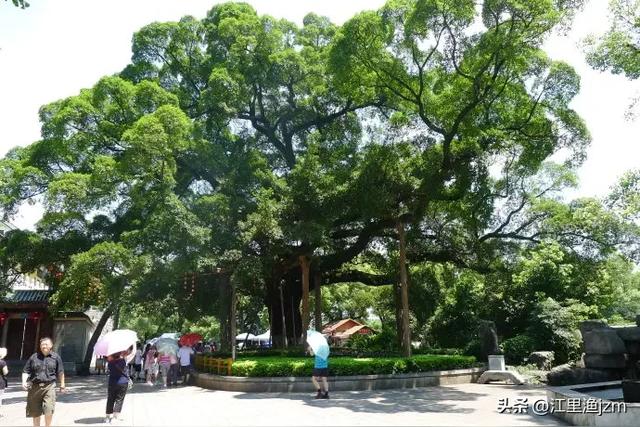 初临广州之印象