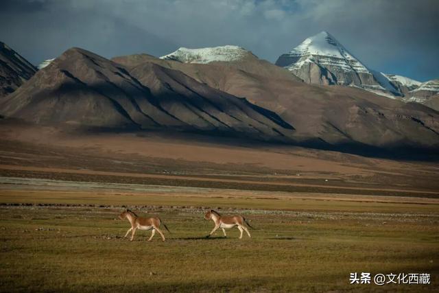 人间最美的终极自驾天路，你真的知道是哪条吗？