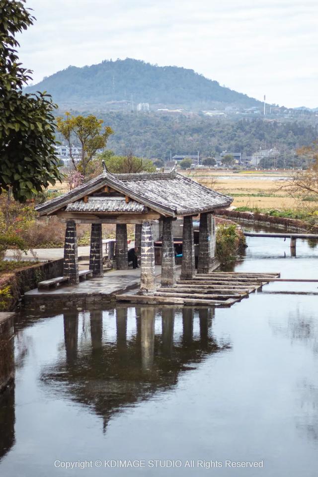 我愿称腾冲为秋季的天花板！银杏、温泉、古镇，来过的人都不想走