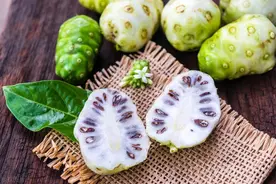 划重点！揭秘诺丽果的神奇之处，你绝不能错过的隐藏宝藏图片