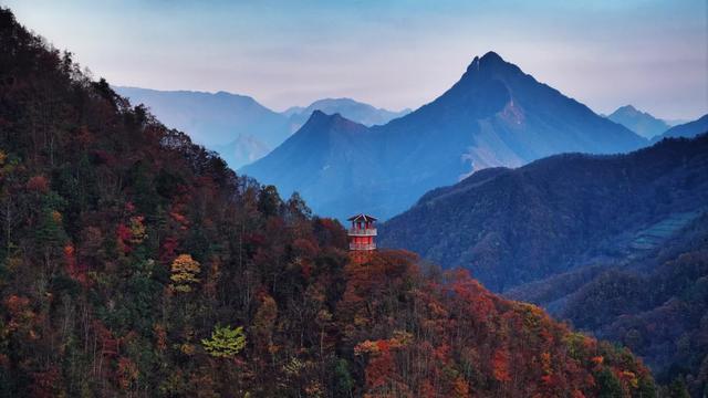 收藏!2025重庆最全赏秋地图出炉,这些私藏秘境美到犯规!