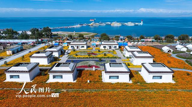 青海湖美景引客来