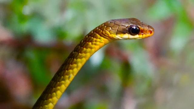 一生一次，2027年出发！41天南极半岛包船登陆，南美4国狂野自驾