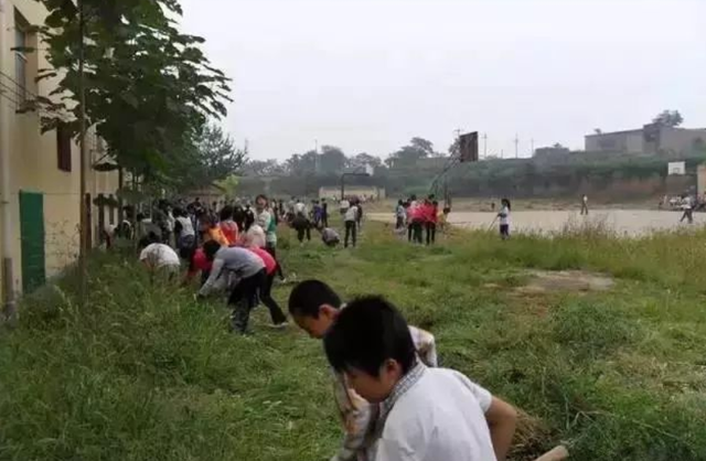 提升生育率的根本办法	，是把乐观预期传递给年轻一代