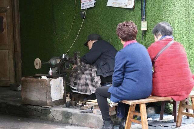 你好！东坡 | 府街：从生命起点到千年文脉的温暖传承