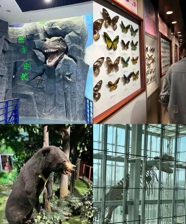 吉林省拟新增5家4A级景区