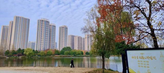 五彩斑斓！龙潭公园的初冬彩林，总有一抹色彩温暖你！