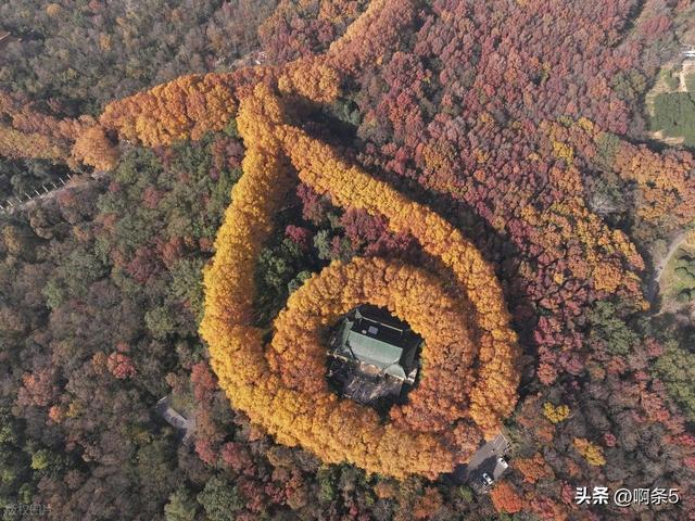 江苏南京，钟山风景区，大家展开想象，这个像什么？