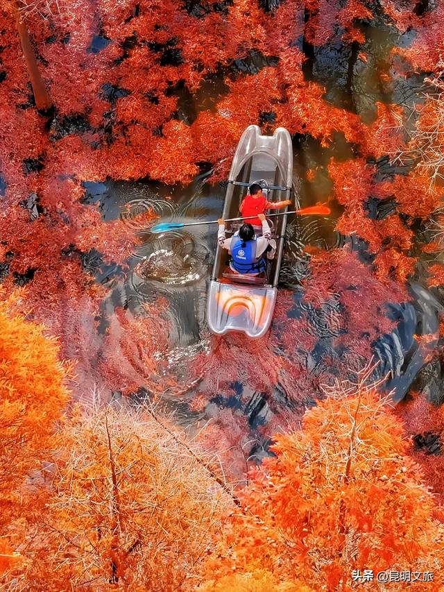 初冬氛围感出片计划，走起！昆明这份打卡攻略速速收藏→