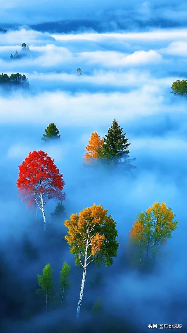 红黄绿交织流淌，在乳白雾气中洇开