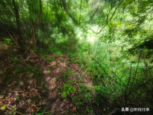 旧时古道，如今人迹罕至；峡谷中间，有一个美丽野瀑布