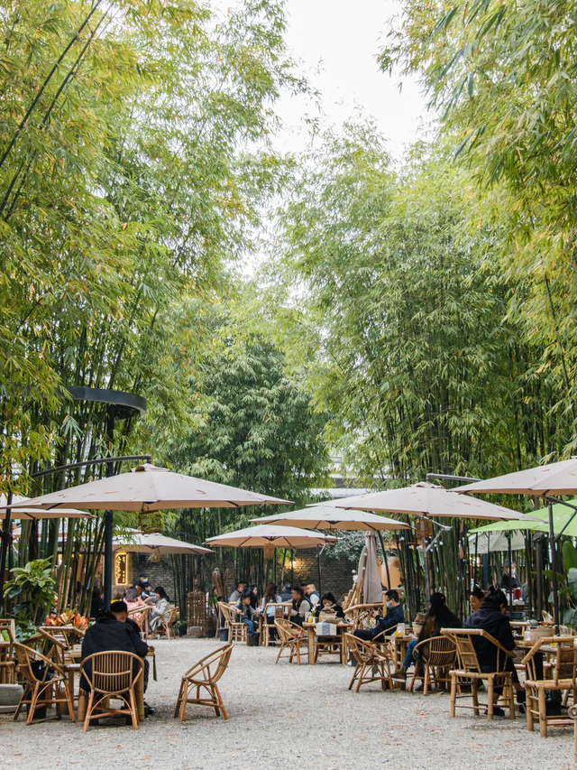 成都这地，又拿奖了！