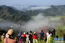安徽黄山：云上石潭春色美图片