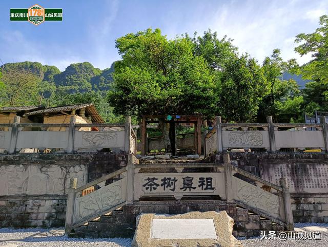 南川178环线自驾详细路书2025