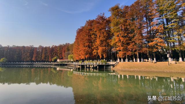 霜影下的城市绯霞