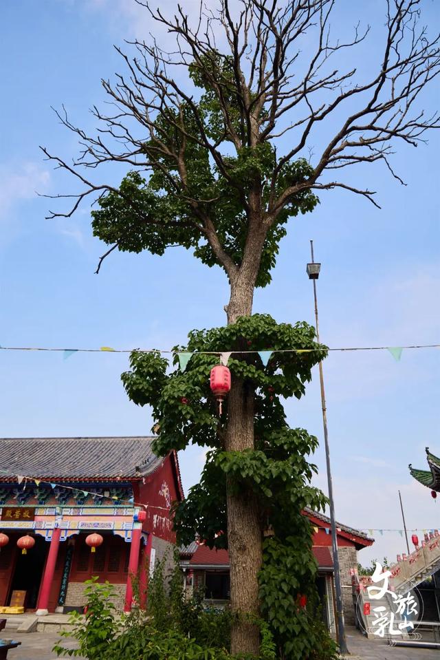 在圣水宫，遇见一场山水与时光的温柔对话