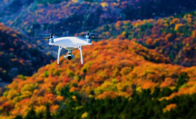 500元破解禁飞区？3人被抓细节曝光，2025新规让"刷机"秒变犯罪