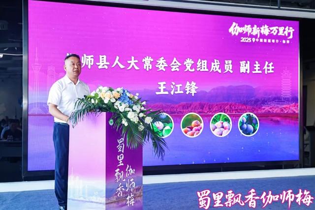 精彩回顾：2025中国新疆喀什·伽师新梅万里行宣传推介活动成都站、长沙站高光图集来啦！