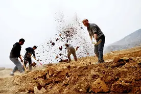 农村“怪现象”：宁愿地荒着，也不种粮食，把专家气够呛，咋回事图片