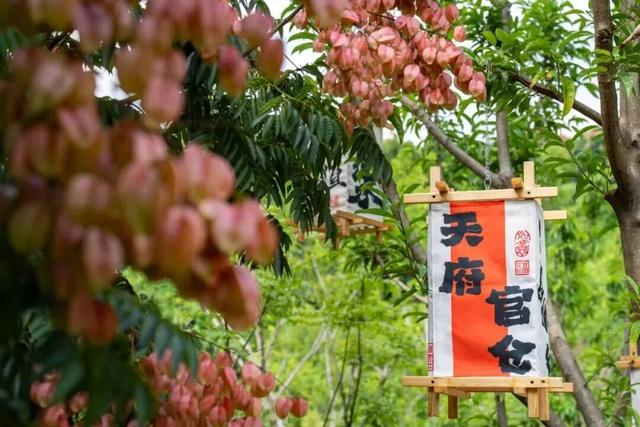 全新打造！金堂这处在山间的宝藏地，即将迎客！