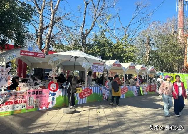 跟着滇超游昆明 | “鸥”然心动!打卡日记已备好,观鸥季精彩继续~